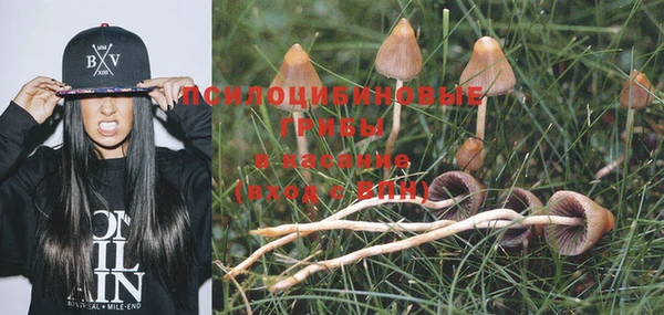 MESCALINE Вяземский