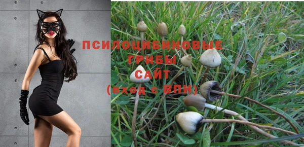 скорость Вязьма