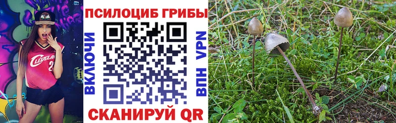 сайты даркнета какой сайт  Давлеканово  Галлюциногенные грибы ЛСД 